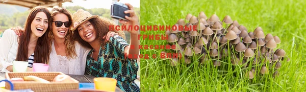 таблы Арсеньев
