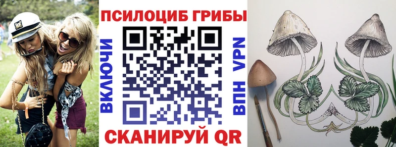 Псилоцибиновые грибы Magic Shrooms  Мыски 